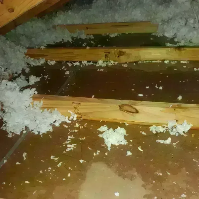 Attic Water Damage in West Branch, IA